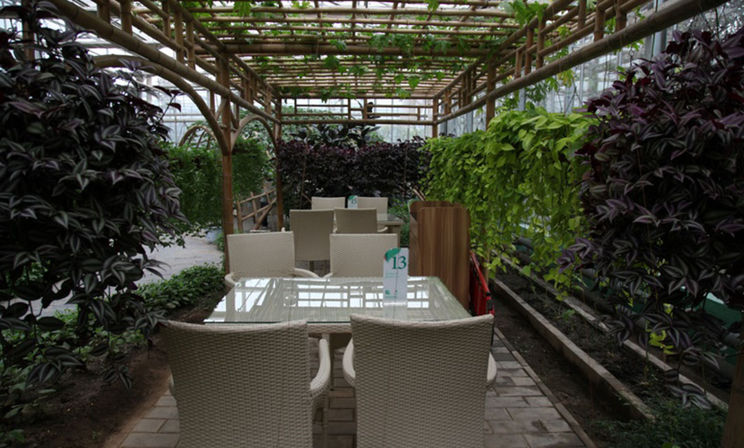 东方康柏宇品牌文案撰写案例